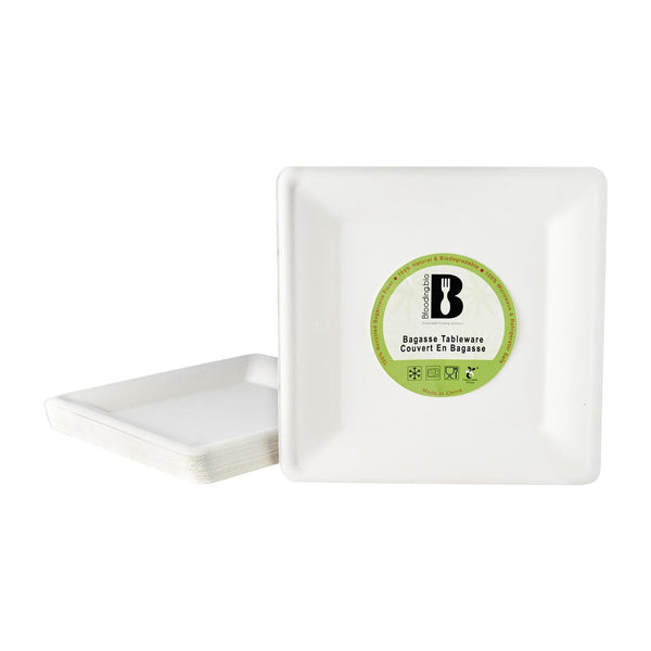 BF Bio 10" Bagasse Plate Square 20 pcs
